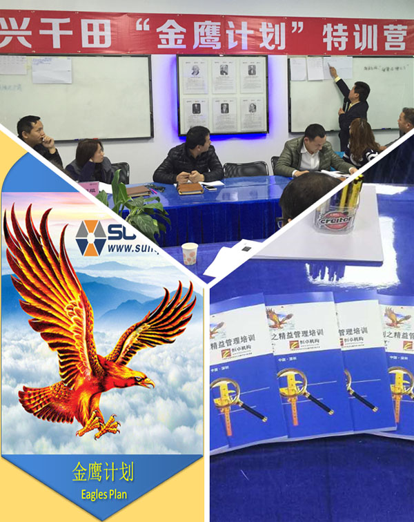 興千田金鷹計劃 興千田金鷹計劃