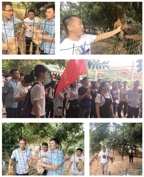 【戶外拓展】興千田九龍山歡樂一日游 【戶外拓展】興千田九龍山歡樂一日游