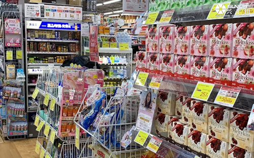 【第6天】記2019年日本LCIA研修活動 【第6天】記2019年日本LCIA研修活動