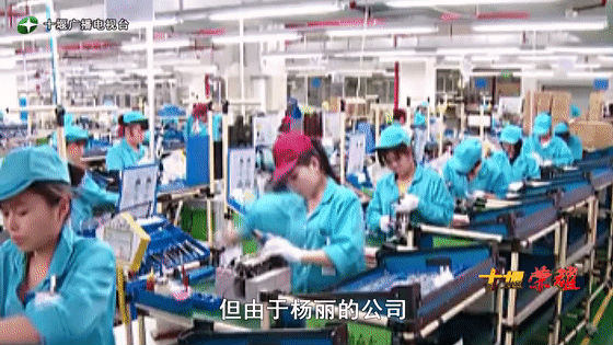 創業是一條無比艱辛的路,創新更是無限風光在險峰。在男性為主導的商海里,女性創業創新需要鼓足十萬分的勇氣和力量,是挑戰未來成功的小概率事件。而十堰姑娘楊麗便是這小概率事件中的一個傳奇,也是女性創業創新的榜樣。今天就來認識這位傳奇女性-興千田集團楊麗。 創業是一條無比艱辛的路,創新更是無限風光在險峰。在男性為主導的商海里,女性創業創新需要鼓足十萬分的勇氣和力量,是挑戰未來成功的小概率事件。而十堰姑娘楊麗便是這小概率事件中的一個傳奇,也是女性創業創新的榜樣。今天就來認識這位傳奇女性-興千田集團楊麗。