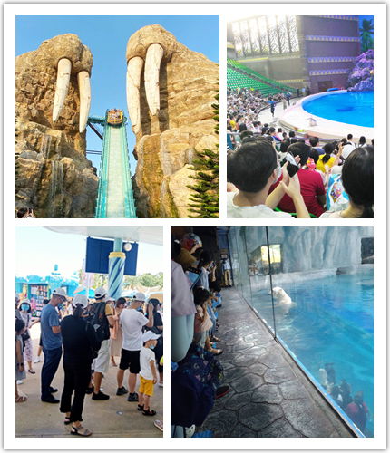 興千田集團2020年度旅游活動-長隆二日游 興千田集團2020年度旅游活動-長隆二日游