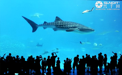 興千田集團2020年度旅游活動-長隆二日游 興千田集團2020年度旅游活動-長隆二日游