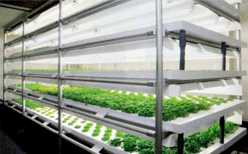 精益管可以做大棚管嗎? 精益管可以做大棚管嗎?