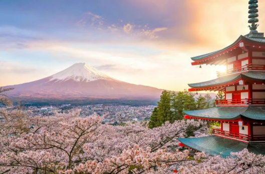 2025【精益生產+Karakuri 改善大會】一場關于“智慧”與“循環”的深度研學